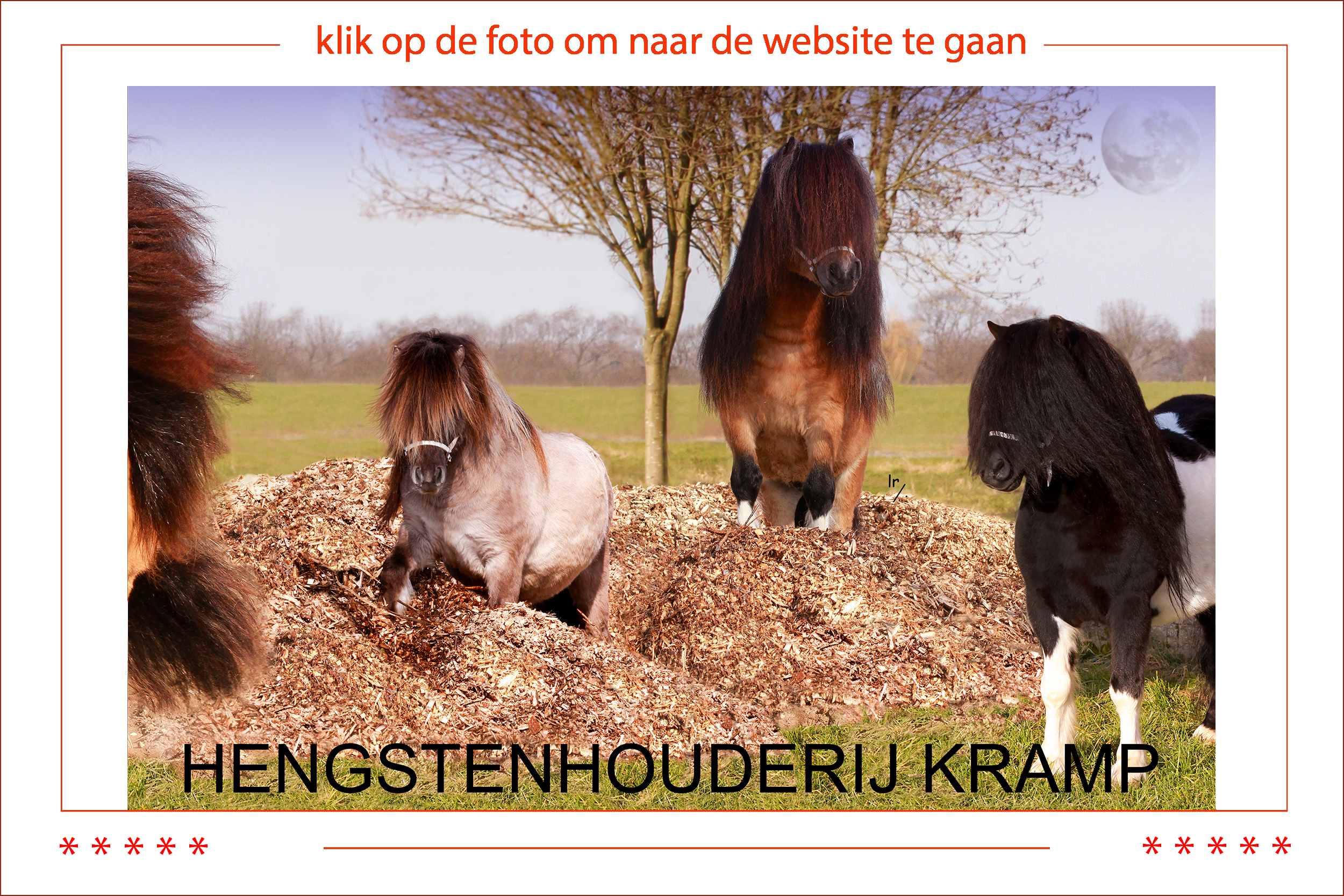 Advertentie: 